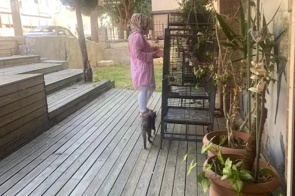 Istanbul Kuş , Egzotik ,Kedi , Köpek Sağlığı Hizmetleri - Resim 2