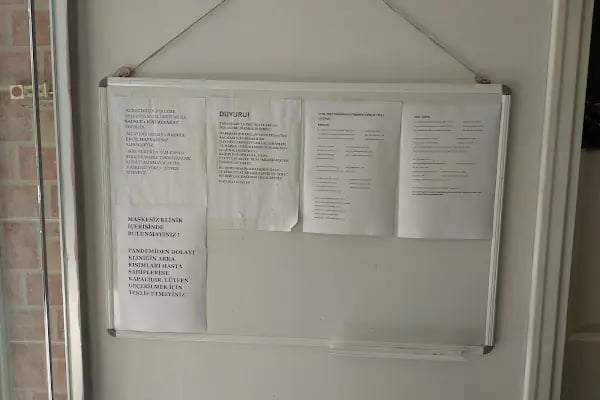 Istanbul Kuş , Egzotik ,Kedi , Köpek Sağlığı Hizmetleri - Resim 5