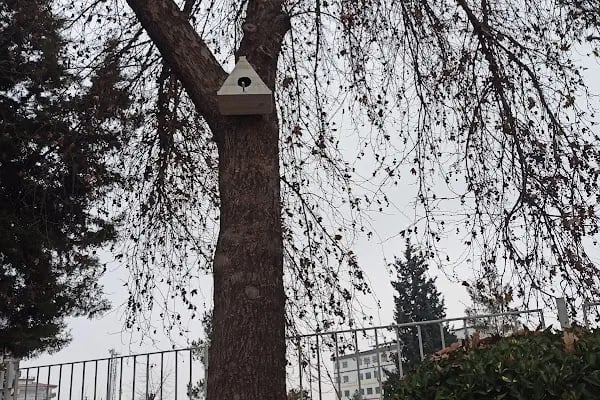 Nizip Mehmet Akif Ersoy Halk Eğitim Merkezi Ve ASO - Resim 4