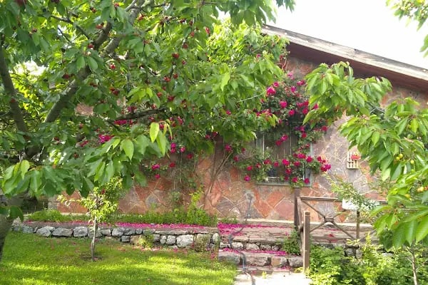 Pendosis Tatil Köyü - Resim 12