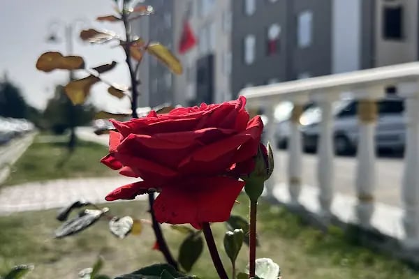 Ereğli Adliyesi - Resim 4