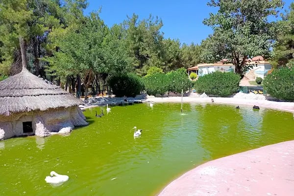 Hayvanat Bahçesi Safari Park - Resim 13
