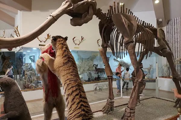 Hayvanat Bahçesi Safari Park - Resim 4