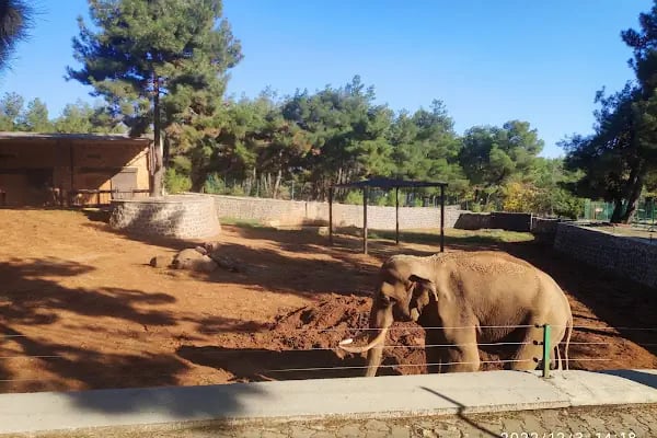Hayvanat Bahçesi Safari Park - Resim 7