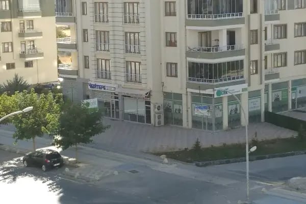 Salon Altın Makas - Resim 4