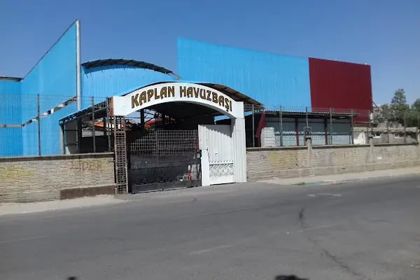 Kaplan City Havuz - Resim 5