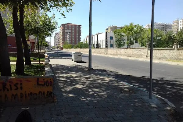 Kaplan City Havuz - Resim 14