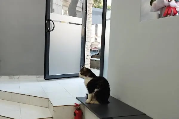 Konak Veteriner Kliniği - Resim 2