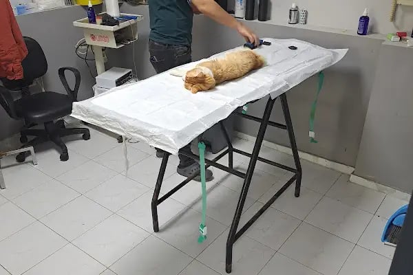 Konak Veteriner Kliniği - Resim 6