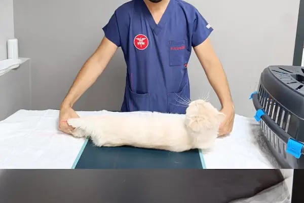 Konak Veteriner Kliniği - Resim 3