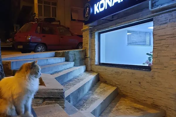 Konak Veteriner Kliniği - Resim 8