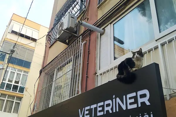 Konak Veteriner Kliniği - Resim 5