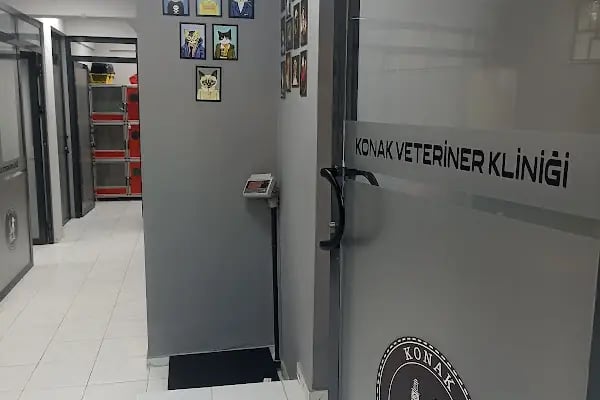 Konak Veteriner Kliniği - Resim 10