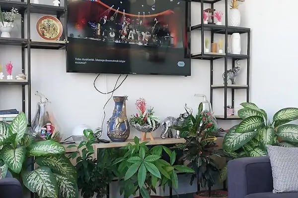 Viya Dent Plus Ağız ve Diş Sağlığı Polikliniği - Resim 12