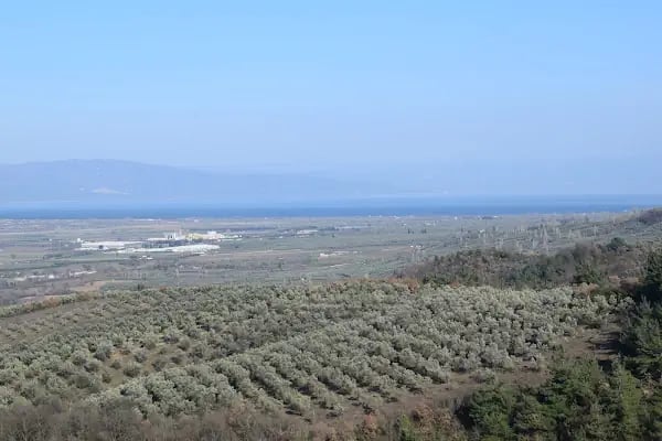 Zadeoglu konağı - Resim 9
