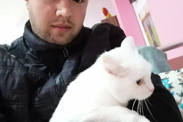 8:30-19:00 Gaziantep Veteriner - Arkadaşım Veteriner Kliniği - Resim 16