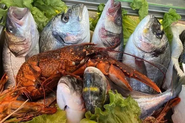 Heybeliada Barbayani Balık Fish Restaurant - Resim 20