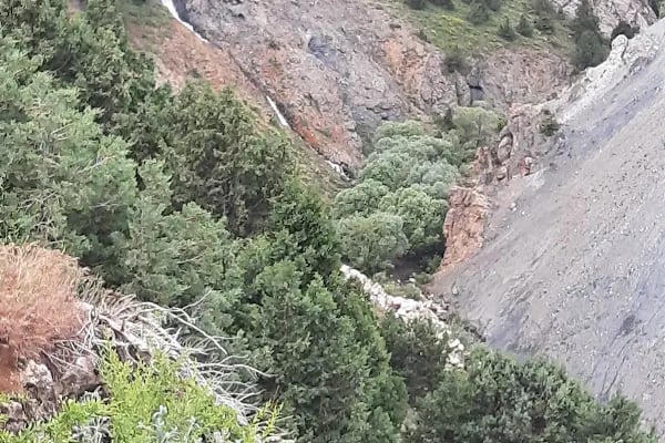 Erzincan Ergan Dağı Kayak Merkezi İşletmesi - Resim 16