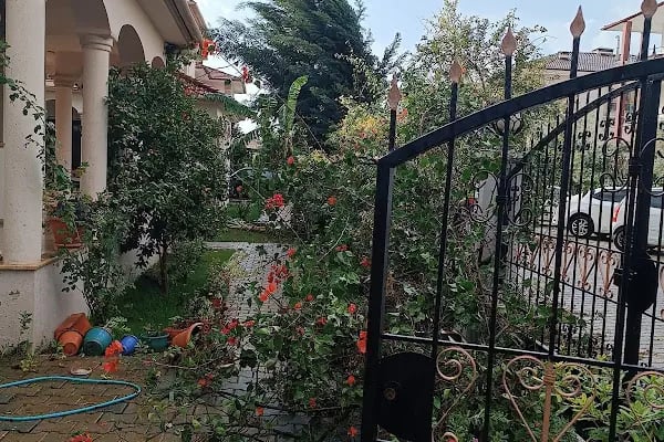 Dalaman Çarşı - Resim 5