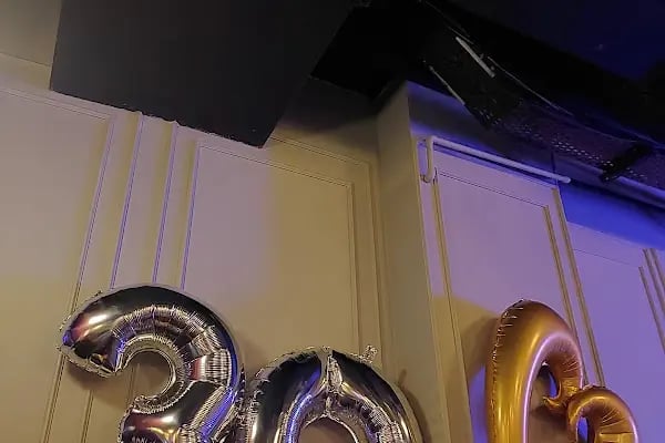 Toyzeras Oyuncak Ve Parti Malzemeleri Uçan Balon - Resim 4