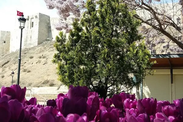 Şahinbey Belediyesi - Resim 11