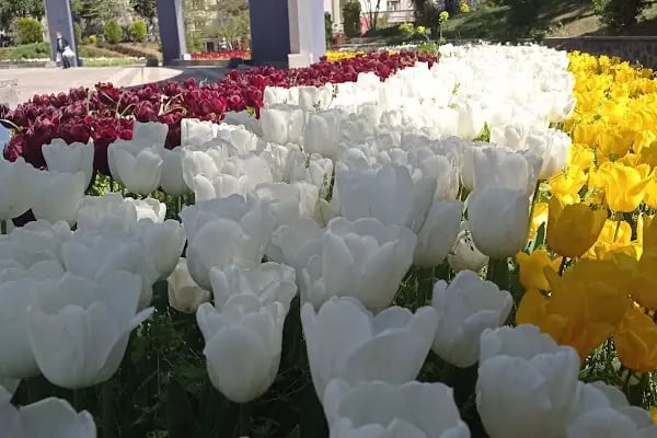 Şahinbey Belediyesi - Resim 13