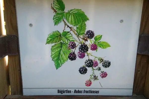 Şahinbey Belediyesi - Resim 18