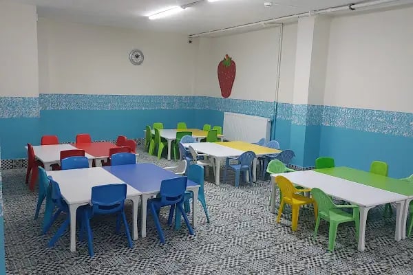 Minik Yıldızlar Anaokulu-İstiklal Şubesi - Resim 5
