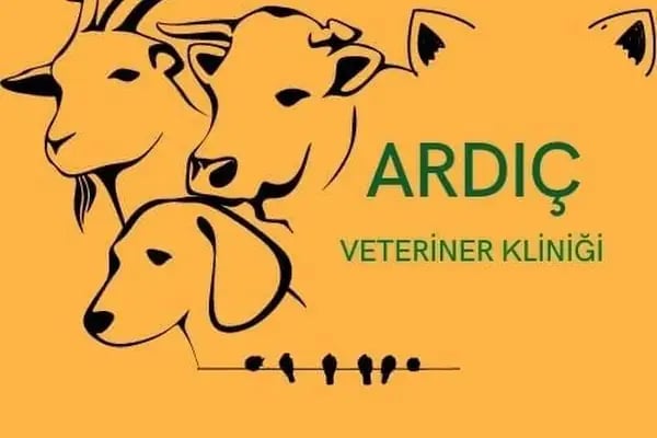 Ardıç veteriner kliniği - Resim 12