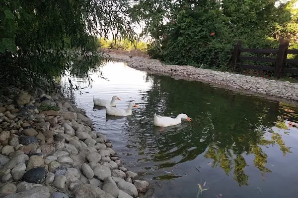 Adalet Parkı - Resim 9
