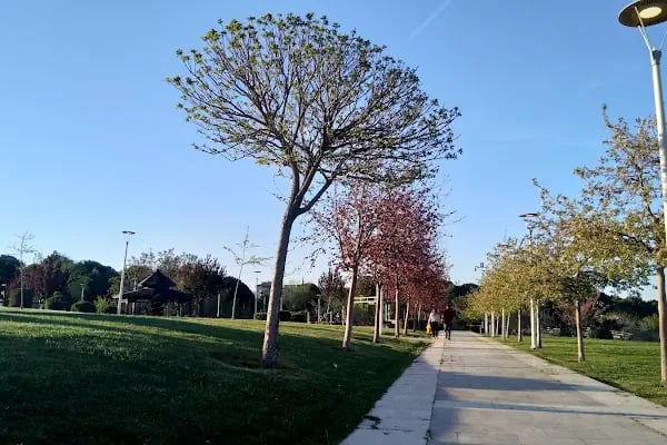 Adalet Parkı - Resim 12