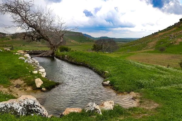 MARDİN Artuklu cevizlik köyü kanigürya - Resim 4