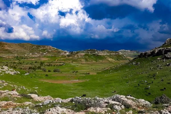 MARDİN Artuklu cevizlik köyü kanigürya - Resim 3