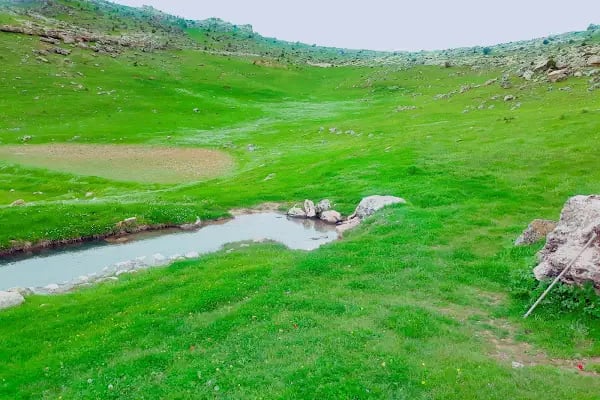 MARDİN Artuklu cevizlik köyü kanigürya - Resim 5
