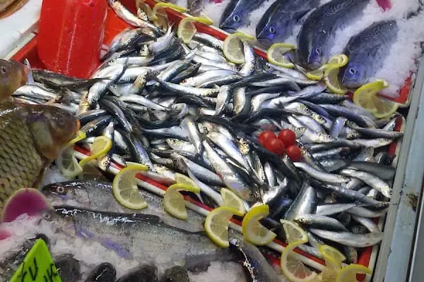 Çetinler Market - Resim 14
