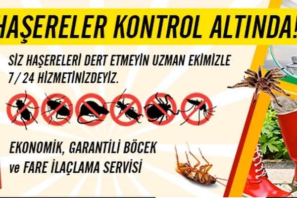 Haşere İlaçlama Servisi Aliağa - Resim 10