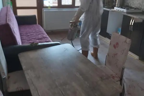 Haşere İlaçlama Servisi Aliağa - Resim 8