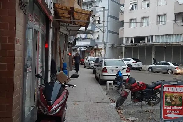 Haşere İlaçlama Servisi Aliağa - Resim 1