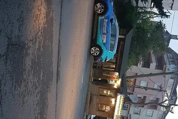 Şirin Dost Pet Shop - Resim 1
