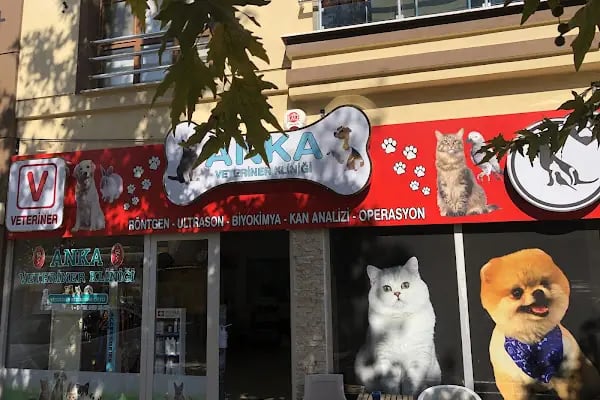 Akhisar Anka Veteriner Kliniği - Pet Kuaför - Resim 4