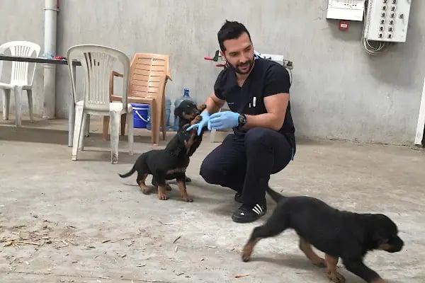 Akhisar Anka Veteriner Kliniği - Pet Kuaför - Resim 17