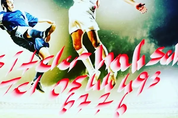 Siteler Hali Saha - Resim 6