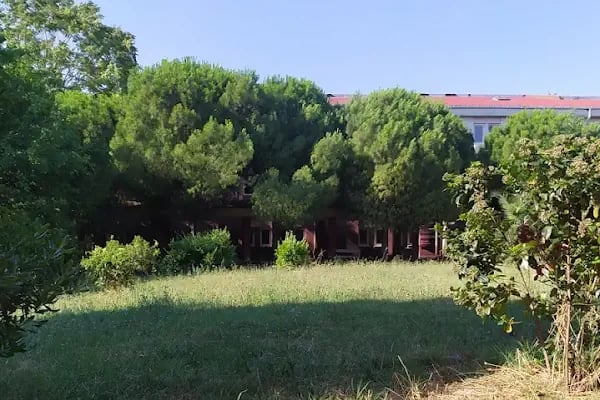 Bakırköy Prof. Dr. Mazhar Osman Ruh ve Sinir Hastalıkları Hastanesi Müzesi - Resim 14