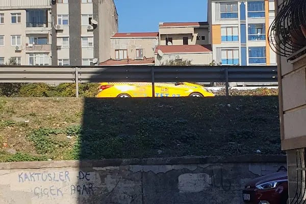 Sağmalcılar - Resim 15