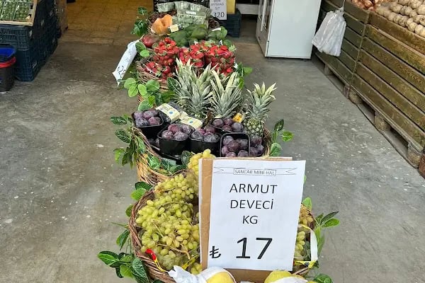 SANCAR MİNİ HAL - Resim 12