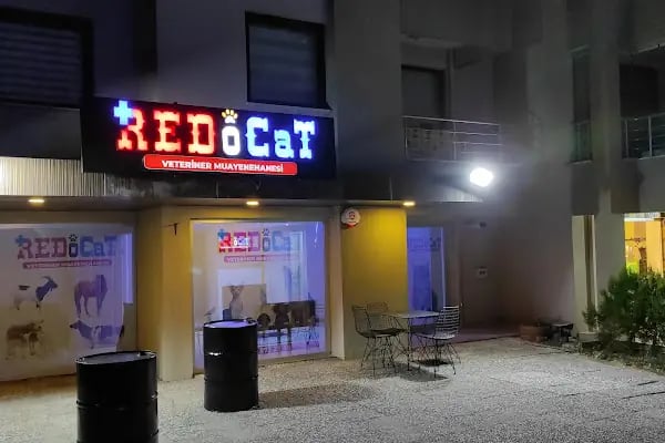 Redocat Veteriner Kliniği - Resim 16