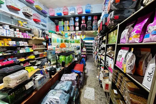 Eymen Pet Shop &amp; Akvaryum - Resim 4