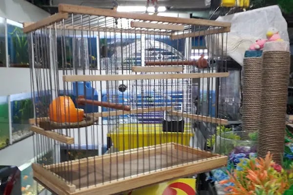 Eymen Pet Shop &amp; Akvaryum - Resim 15
