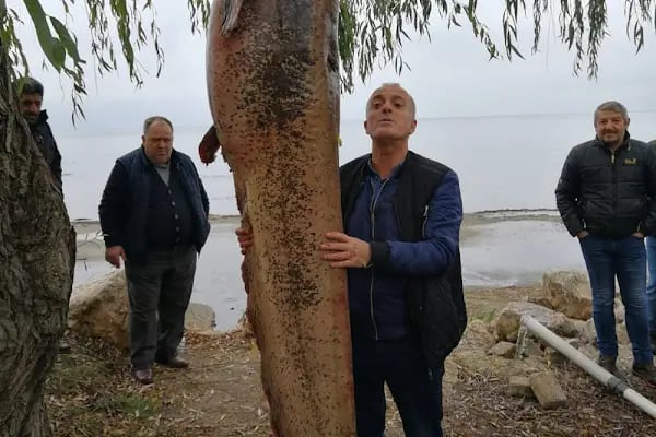 Demirkapı Gölet - Resim 4
