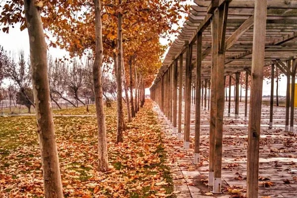 Bağlar Belediyesi Nevruz Parkı - Resim 17